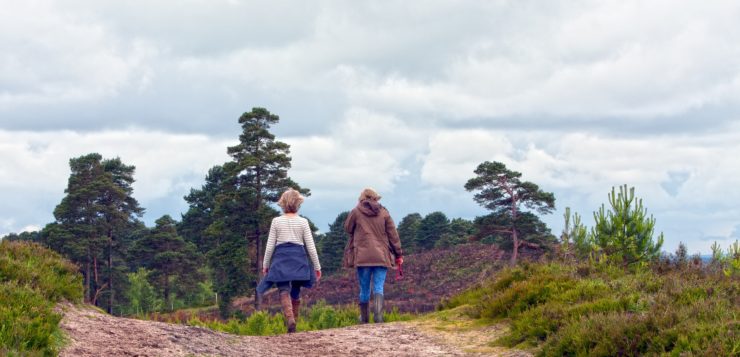 La carne de cerdo mantiene su efecto saciante con los diferentes métodos de cocinado